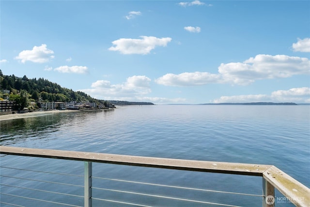 3717 Beach Dr SW Unit 316, Seattle, WA 98116 - photo 24