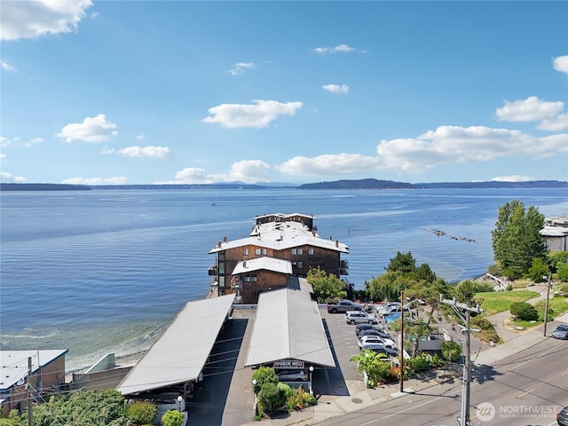 3717 Beach Dr SW Unit 316, Seattle, WA 98116 - photo 25