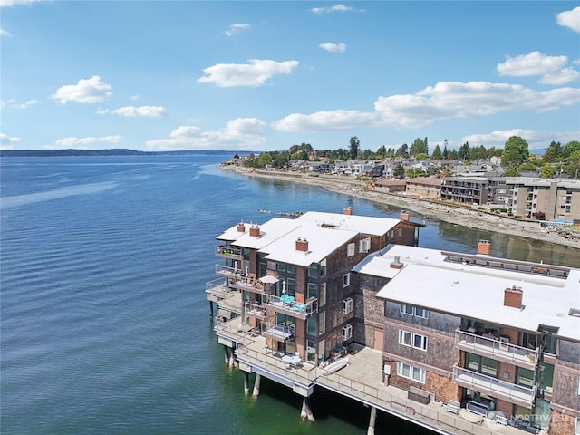 3717 Beach Dr SW Unit 316, Seattle, WA 98116 - photo 26
