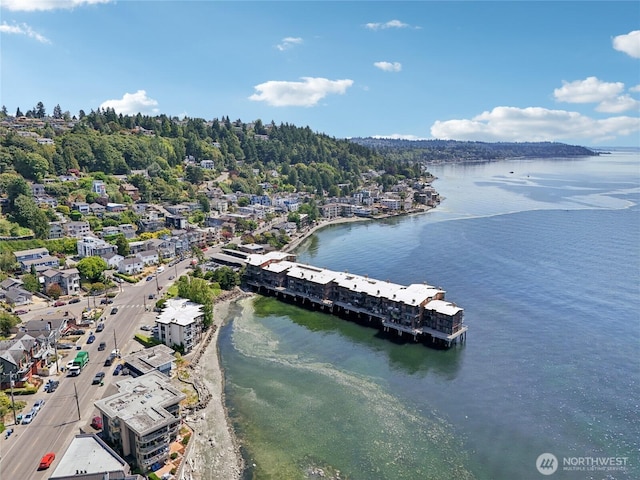3717 Beach Dr SW Unit 316, Seattle, WA 98116 - photo 30