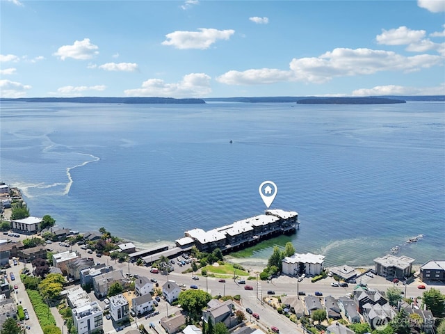 3717 Beach Dr SW Unit 316, Seattle, WA 98116 - photo 31
