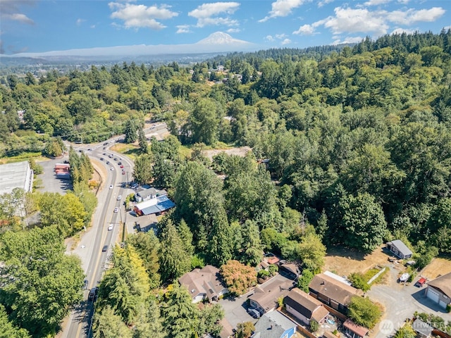 2726 Pioneer Way E, Tacoma, WA 98404 - photo 39