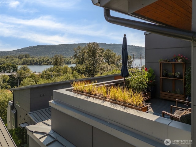 4261 213th Pl SE Unit 43, Issaquah, WA 98029 - photo 31