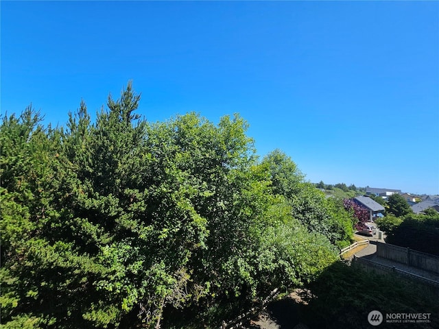 262 SW Oyhut Bay Blvd Unit 303, Ocean Shores, WA 98569 - photo 29