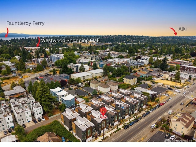 9235B 16th Ave SW, Seattle, WA 98106 - photo 23