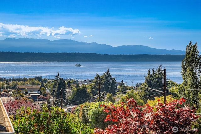 826 Maple St, Edmonds, WA 98020 - photo 4