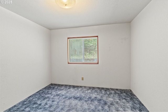 24202 NE 209th St, Battle Ground, WA 98604 - photo 24
