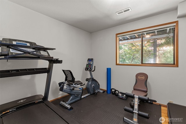 13731 2nd Ave NW, Seattle, WA 98177 - photo 29