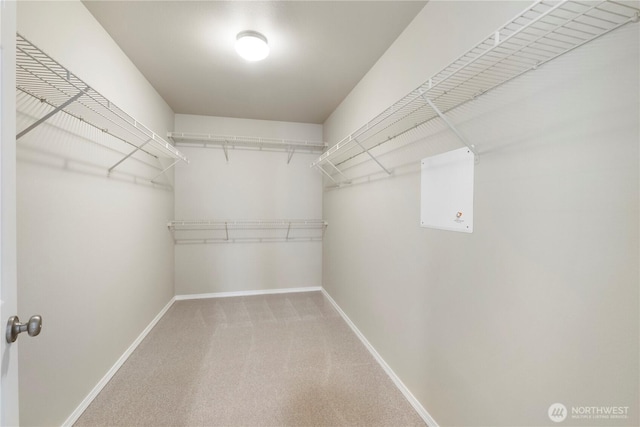 31084 119th Ave SE, Auburn, WA 98092 - photo 22