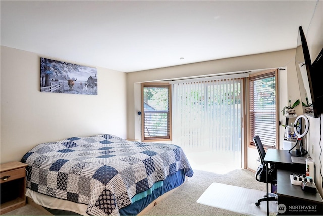 18329 Cedarbough Loop, Arlington, WA 98223 - photo 13