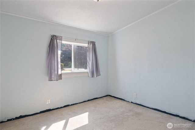 21014 Birch Pl, Ocean Park, WA 98640 - photo 19