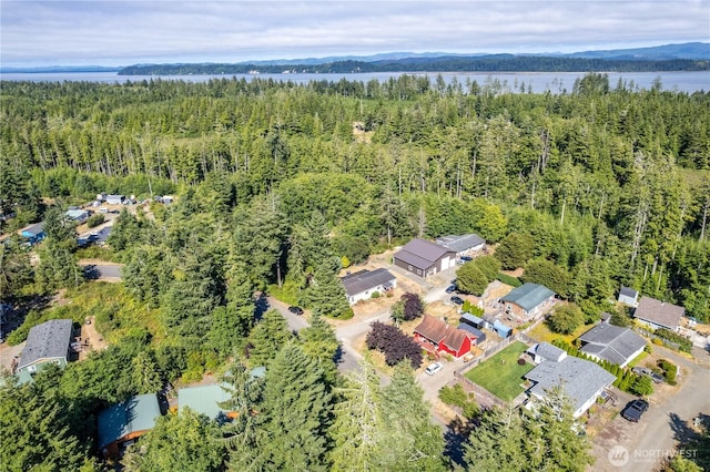 21014 Birch Pl, Ocean Park, WA 98640 - photo 32