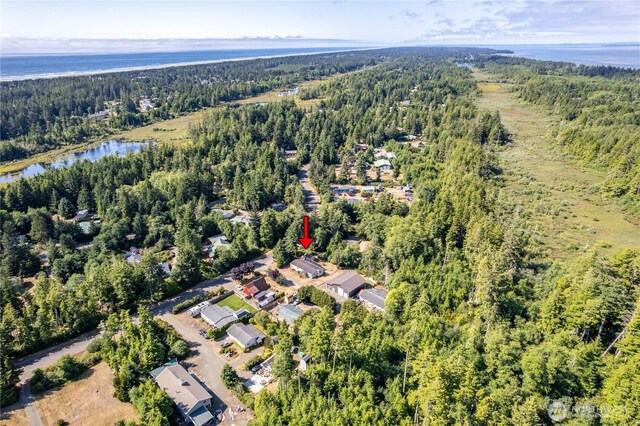 21014 Birch Pl, Ocean Park, WA 98640 - photo 34