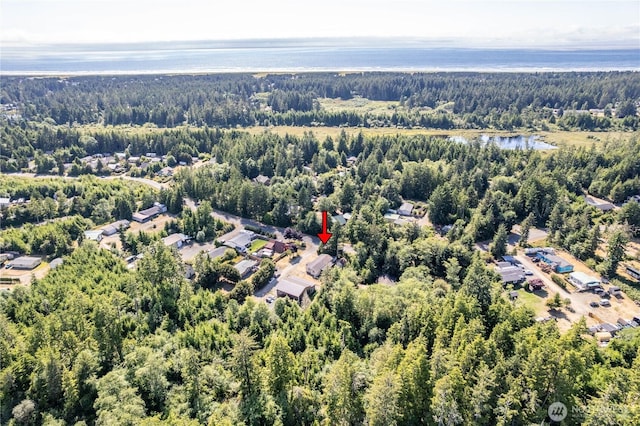 21014 Birch Pl, Ocean Park, WA 98640 - photo 35