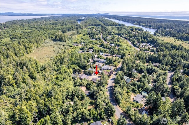 21014 Birch Pl, Ocean Park, WA 98640 - photo 36