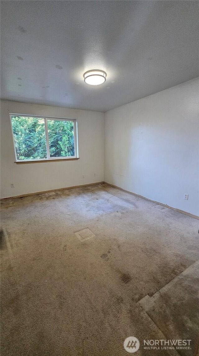 701 98th St E, Tacoma, WA 98445 - photo 12