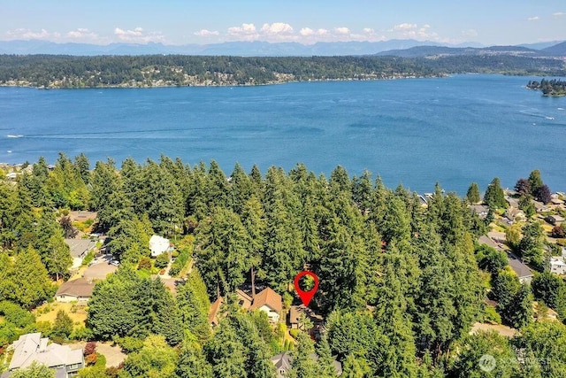 3233 168th Pl SE, Bellevue, WA 98008 - photo 26