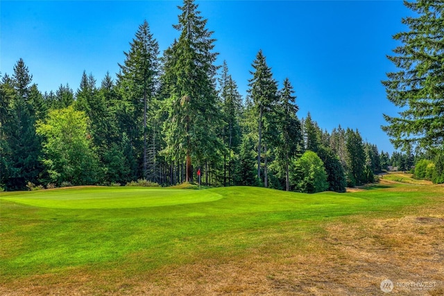 7176 Tobermory Cir SW, Port Orchard, WA 98367 - photo 36