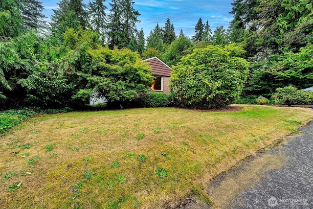 13819 NE 80th St, Redmond, WA 98052 - photo 7