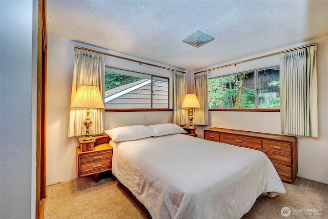 13819 NE 80th St, Redmond, WA 98052 - photo 14