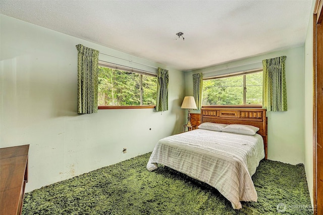13819 NE 80th St, Redmond, WA 98052 - photo 15