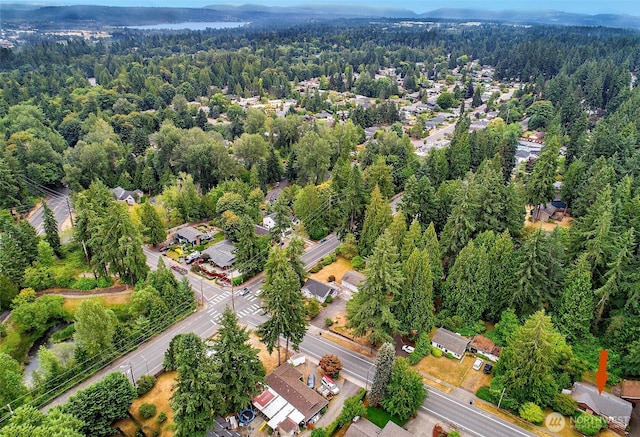 13819 NE 80th St, Redmond, WA 98052 - photo 21