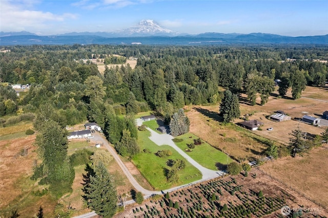 27819 90th Ave E, Graham, WA 98338 - photo 4