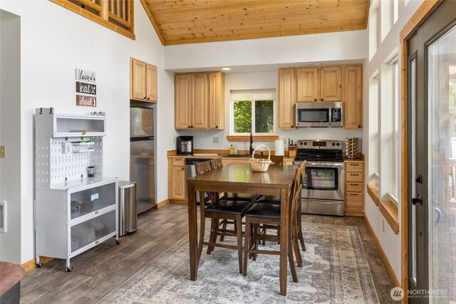 310 Paintbrush Ln, Ronald, WA 98940 - photo 13