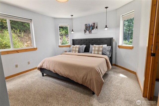 310 Paintbrush Ln, Ronald, WA 98940 - photo 18
