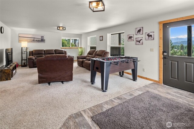 310 Paintbrush Ln, Ronald, WA 98940 - photo 26