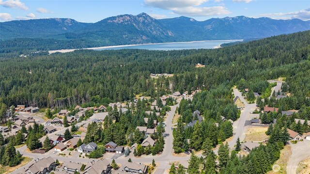310 Paintbrush Ln, Ronald, WA 98940 - photo 31