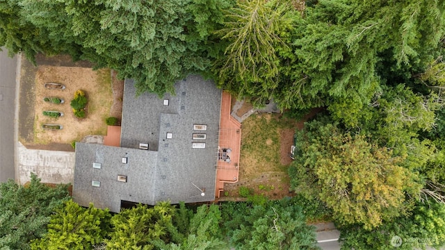 702 Wily St NW, Olympia, WA 98502 - photo 38