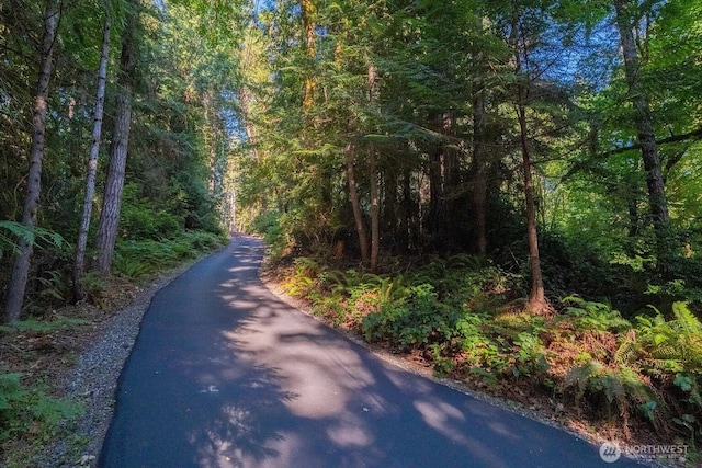 7308 Cresent Beach Rd NW, Vaughn, WA 98394 - photo 10