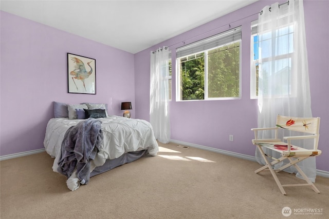 7019 135th St SE, Snohomish, WA 98296 - photo 18