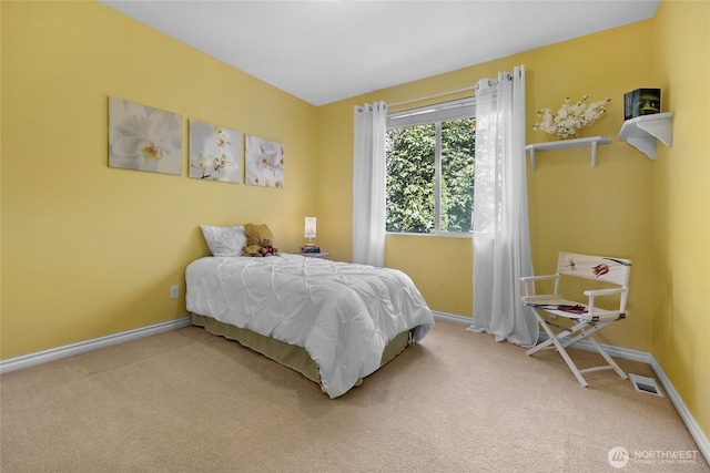 7019 135th St SE, Snohomish, WA 98296 - photo 20
