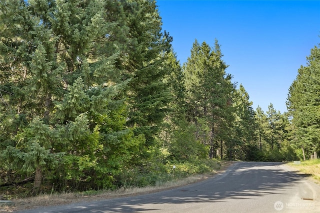 711 Ruby King Loop, Cle Elum, WA 98922 - photo 5