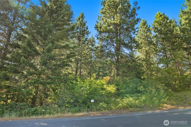 711 Ruby King Loop, Cle Elum, WA 98922 - photo 6