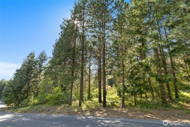 711 Ruby King Loop, Cle Elum, WA 98922 - photo 7