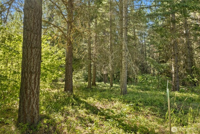 711 Ruby King Loop, Cle Elum, WA 98922 - photo 10