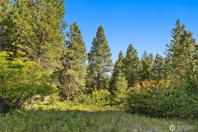711 Ruby King Loop, Cle Elum, WA 98922 - photo 11