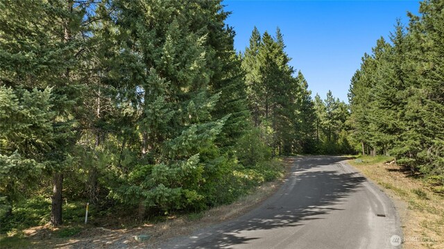 711 Ruby King Loop, Cle Elum, WA 98922 - photo 12