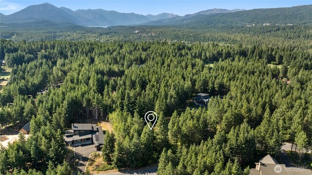 711 Ruby King Loop, Cle Elum, WA 98922 - photo 4