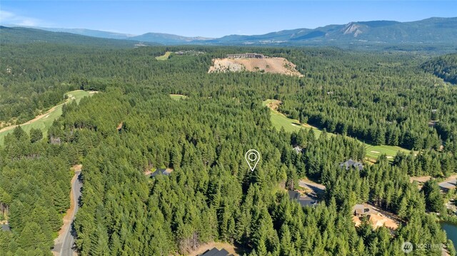 711 Ruby King Loop, Cle Elum, WA 98922 - photo 16