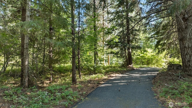 711 Ruby King Loop, Cle Elum, WA 98922 - photo 17