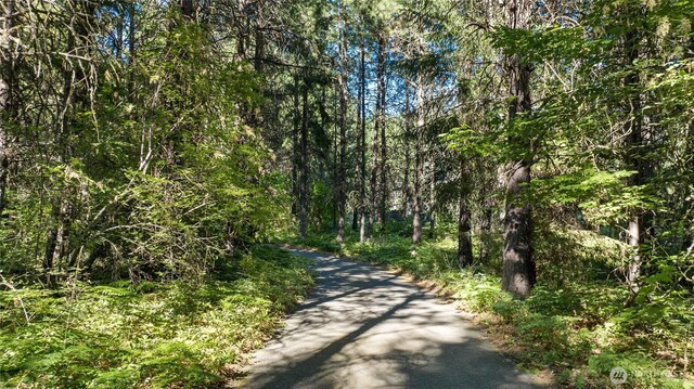 711 Ruby King Loop, Cle Elum, WA 98922 - photo 18