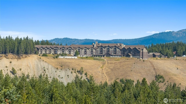 711 Ruby King Loop, Cle Elum, WA 98922 - photo 19