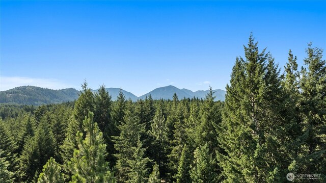 711 Ruby King Loop, Cle Elum, WA 98922 - photo 20