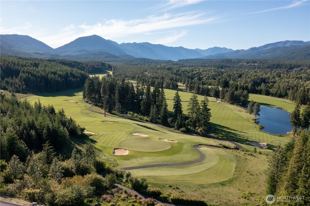 711 Ruby King Loop, Cle Elum, WA 98922 - photo 23