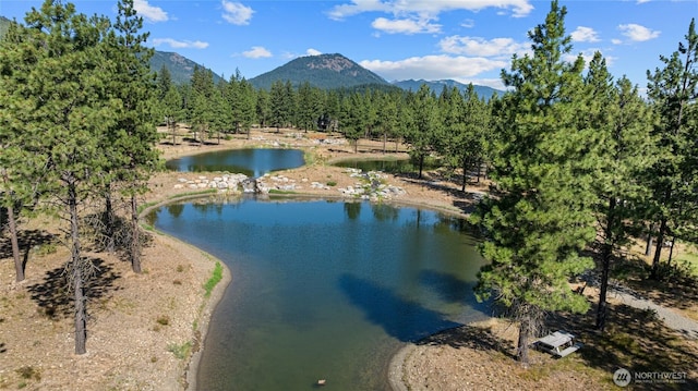 711 Ruby King Loop, Cle Elum, WA 98922 - photo 27
