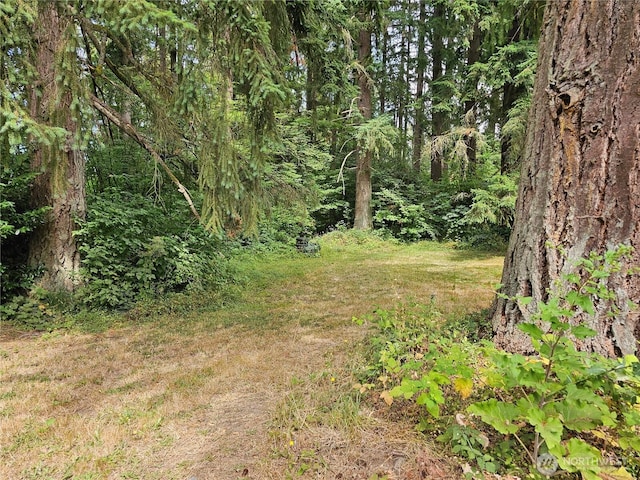 18909 State Route 9 SE, Snohomish, WA 98296 - photo 8